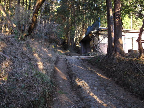 20170118hike (13)